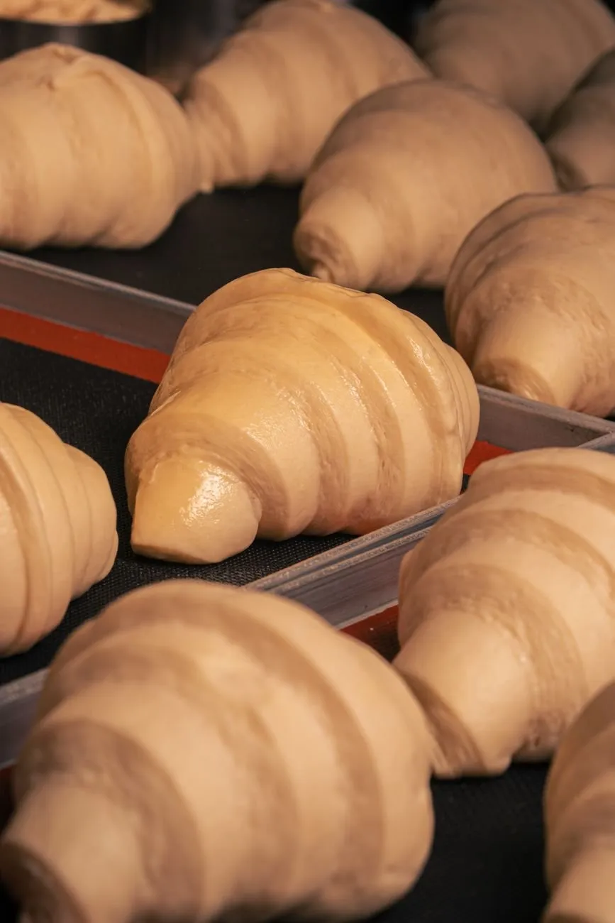 Rolled croissants proofing on a dark baking tray
